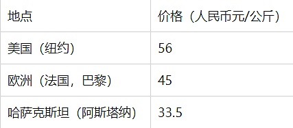 哈萨克斯坦的“加密梦”