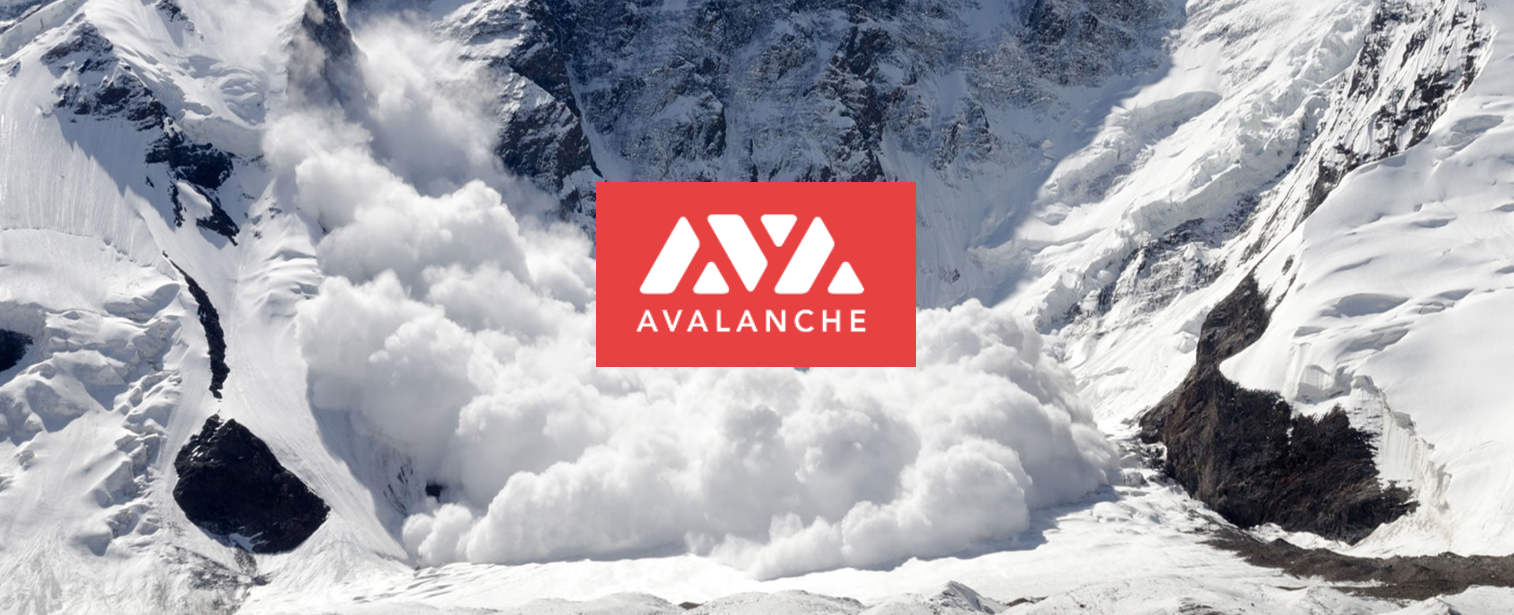 以雪崩之势改造世界 纵览  Avalanche 生态