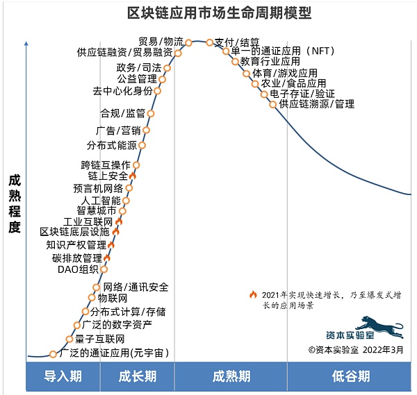 超越炒作:31个区块链应用领域生命周期分析