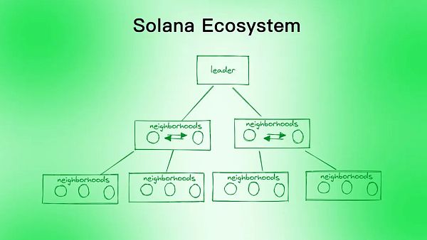 Aptos是资本推动的又一个Solana吗？